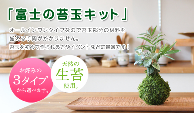 期間限定10 ｏｆｆ 富士の苔玉キット ハイゴケ 苔の販売専門店モスファーム