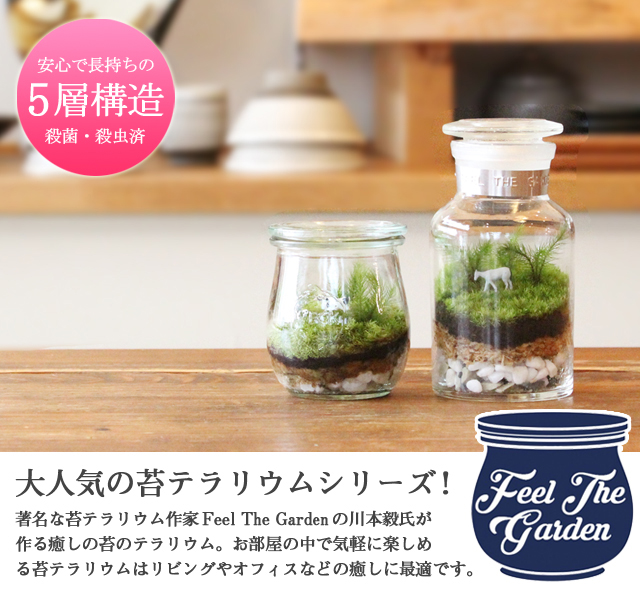 苔テラリウム M 苔の販売専門店モスファーム