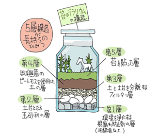 苔テラリウム ｌ 苔の販売専門店モスファーム