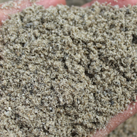 庭園苔の育て方