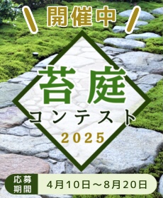苔庭コンテスト2025