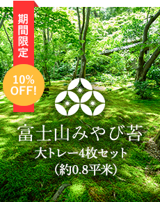 富士山みやび苔大トレー4枚セット