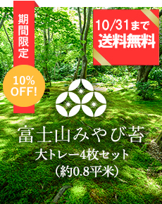 富士山みやび苔大トレー4枚セット