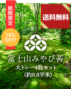 富士山みやび苔大トレー4枚セット