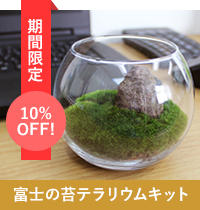 苔の販売専門店モスファーム