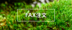 FAX注文用紙