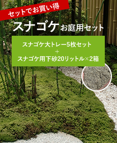 ハイゴケ 約1平米セット(庭園用) | 苔の販売専門店モスファーム