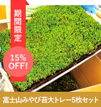 苔の販売専門店モスファーム