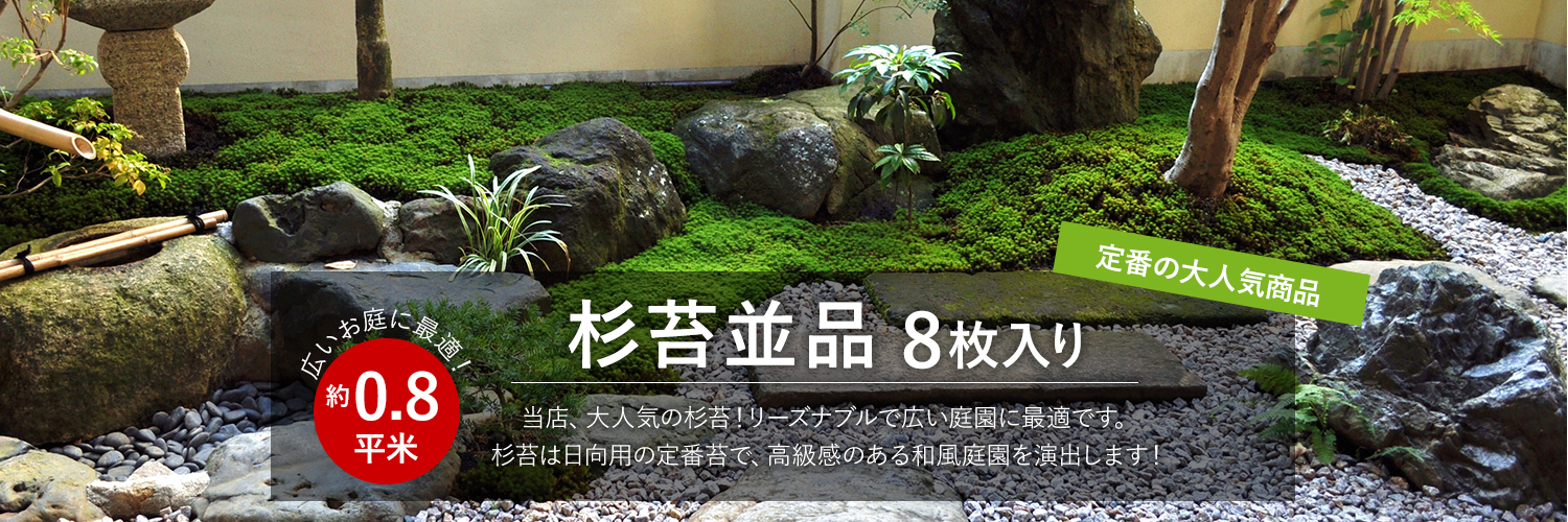 天然苔 上質 ハイゴケ 10トレー 苔の販売専門店モスファーム