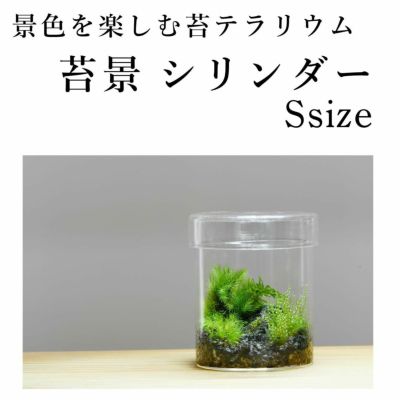 苔の販売専門店モスファーム