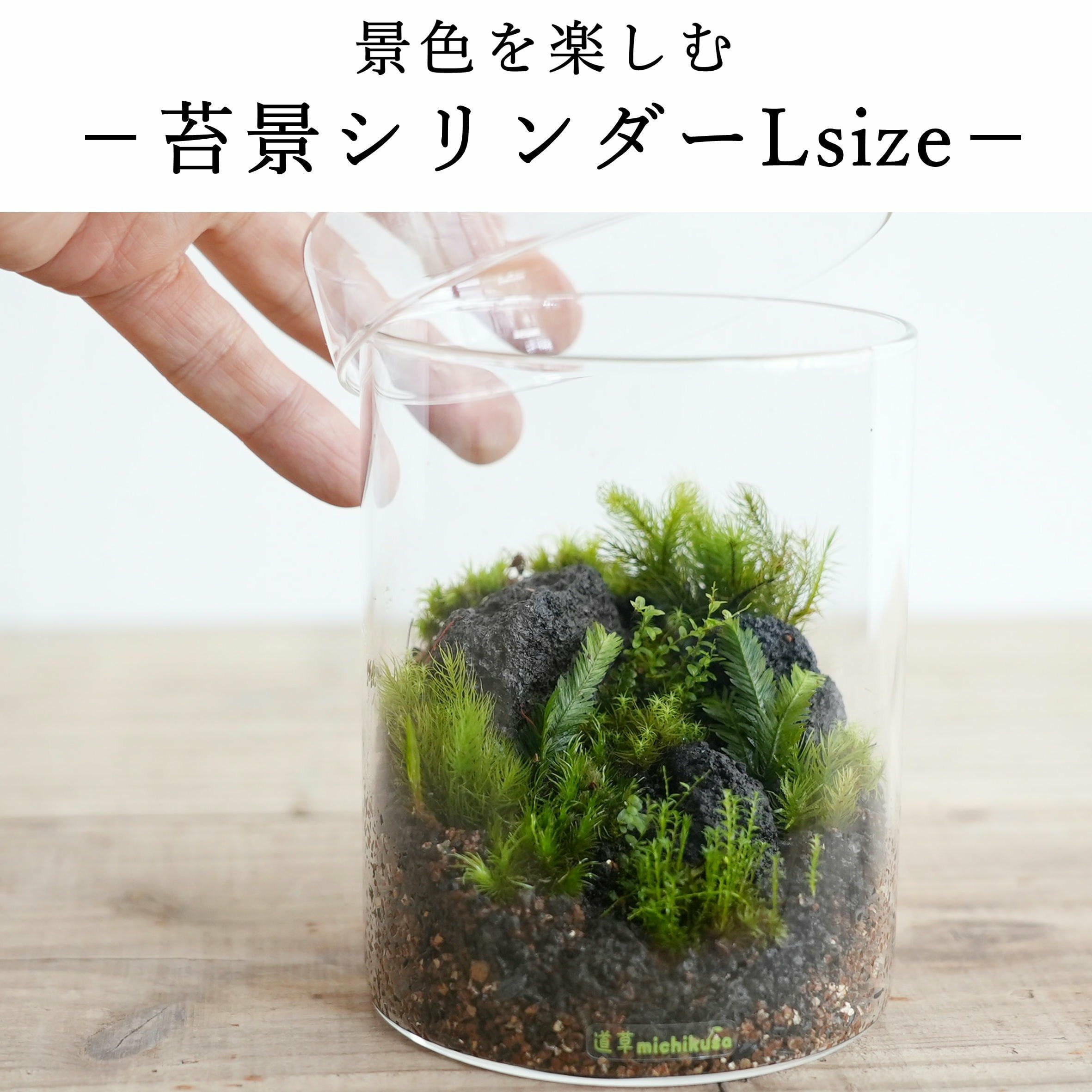 苔テラリウム 幕張新都心 】中型編 大人の苔テラリウムワークショップ FeelTheGarden