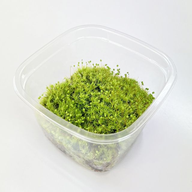 000000000202-01-l.jpg?t=