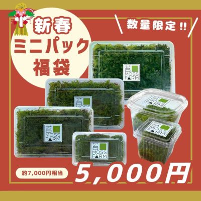 苔ミニパックシリーズ | 苔の販売専門店モスファーム