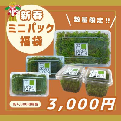 苔ミニパックシリーズ | 苔の販売専門店モスファーム